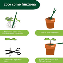 Carica l'immagine nel visualizzatore di Gallery, Set da picchetti, 2 pezzi.