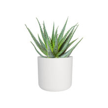 Carica l'immagine nel visualizzatore di Gallery, Elho B.For Soft Round 25cm Vasi per Piante - White