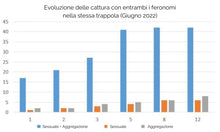 Carica l'immagine nel visualizzatore di Gallery, Kit ricarica trappola cimice asiatica Diablex - 1 feromone attrattivo e 1 sessuale (75 mg)