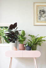 Carica l'immagine nel visualizzatore di Gallery, elho vibes fold round 22cm vaso da fiori - Linen White