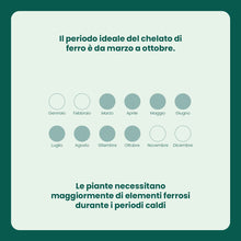 Carica l'immagine nel visualizzatore di Gallery, Il Paese Verde Drin Ferro Chelato, 200g