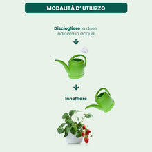 Carica l'immagine nel visualizzatore di Gallery, Il Paese Verde - Concime Sangue di Bue Liquido, 1L