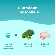 Carica l'immagine nel visualizzatore di Gallery, Bandini® Glutatione Liposomiale 250ml | 250mg di L-Glutatione Setria a dose