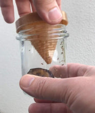 Carica l'immagine nel visualizzatore di Gallery, Trappola per Mosca della Frutta e Trappola per Mosca dell'aceto - Riutilizzabile - Lavabile in lavastoviglie - Prodotto 