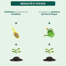 Carica l'immagine nel visualizzatore di Gallery, Il Paese Verde Drin Ferro Chelato, 10g