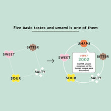 Carica l'immagine nel visualizzatore di Gallery, Ajinomoto Glutammato Monosodico 454 gr - Umami