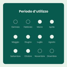 Carica l'immagine nel visualizzatore di Gallery, Il Paese Verde - Concime Piante Grasse, 330ml