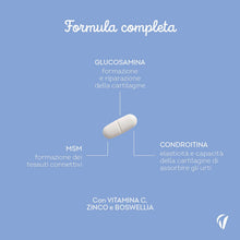 Carica l'immagine nel visualizzatore di Gallery, Glucosamina Condroitina MSM - Con Vitamina C e Zinco - Trattamento 3 Mesi