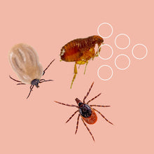 Carica l'immagine nel visualizzatore di Gallery, SMASH Spray Antipulci e Antizecche per Ambienti e Tessuti - Adatto per Ambienti con Animali Domestici - 1x500ml - Per us