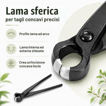 Carica l'immagine nel visualizzatore di Gallery, Taglierina Concava Bonsai, Attrezzi Bonsai Professionale, 210mm Concavo Cutter in Lega di Acciaio al Manganese, per Rimu