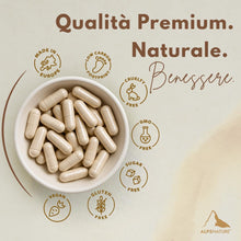 Carica l'immagine nel visualizzatore di Gallery, ALPS NATURE Berberine Fitosomada Berbevis® 600 mg – 60 Capsule per 30 giorni - Berberina Liposomiale Pura - Berberina ad
