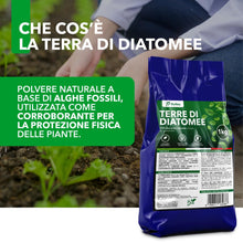 Carica l'immagine nel visualizzatore di Gallery, Terre di Diatomee BioNee – Corroborante Naturale per Piante – Uso Orto e Giardino 1 kg