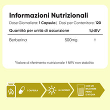 Carica l'immagine nel visualizzatore di Gallery, Berberina Vegana, 4 Mesi di Scorta, 1 Capsula al Giorno, Integratore Berberina 500 mg Pura 85%, 120 Capsule, Berberine P