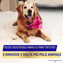 Carica l'immagine nel visualizzatore di Gallery, Vanish - Detergente per tappeti + tappezzeria, Gold Power Foam Shampoo, pulizia di grandi aree, 600 ml