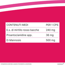 Carica l'immagine nel visualizzatore di Gallery, Cistiflux Plus, Integratore a Base di Estratto di Mirtillo Rosso,Cranberry Americano, e D-Mannosio,per Favorire Una Corr