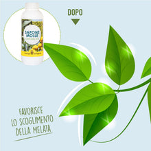 Carica l'immagine nel visualizzatore di Gallery, I CONSIGLI DELL'ESPERTO- Sapone Molle Potassico Concentrato 250 ml – Corroborante Naturale Bio per Piante, Orto e Giardi