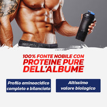 Carica l'immagine nel visualizzatore di Gallery, PROLABS EGG PROTEIN- Proteine in Polvere Isolate 100% Pure da Bianco d'Uovo non Denaturate con Bromelina per Alta Digeri