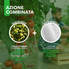 Carica l'immagine nel visualizzatore di Gallery, Combi Spray 500 ml | Con Olio di Neem e Sapone Molle | Naturale e Pronto all’Uso | Anti-Afidi, Cocciniglie e Fumaggine |