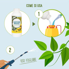 Carica l'immagine nel visualizzatore di Gallery, I CONSIGLI DELL'ESPERTO- Sapone Molle Potassico Concentrato 250 ml – Corroborante Naturale Bio per Piante, Orto e Giardi