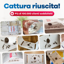 Carica l'immagine nel visualizzatore di Gallery, Gerobug Trappole Pesciolini d'Argento Adesive - Maxi Confezione 12 Pezzi