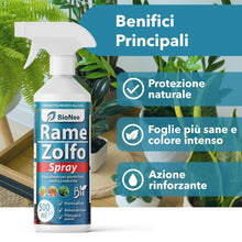 Carica l'immagine nel visualizzatore di Gallery, Rame Zolfo Spray 500 ml – Trattamento naturale pronto all’uso per piante ornamentali, da frutto, orto e giardino – Con r