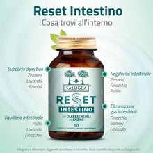 Carica l'immagine nel visualizzatore di Gallery, Reset Intestino Salugea - Integratore Detox Naturale 60 Capsule