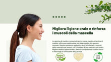 Carica l'immagine nel visualizzatore di Gallery, Chios Mastiha, Gomitas de lentisco griego 100% naturales, producidas por agricultores de lentisco (20 g, gomitas mediana