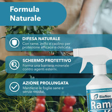 Carica l'immagine nel visualizzatore di Gallery, Rame Zolfo Spray 500 ml – Trattamento naturale pronto all’uso per piante ornamentali, da frutto, orto e giardino – Con r