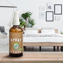 Carica l'immagine nel visualizzatore di Gallery, Spray Antitarme con Oli Essenziali di Cedro e Limone 100ml - Protezione Antitarme per Armadio - Rinfrescante per Guardar