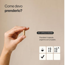 Carica l'immagine nel visualizzatore di Gallery, Spermidina 6 mg - con Vitamina B1 &amp; Zinco - 120 Capsule Vegane - Zenement