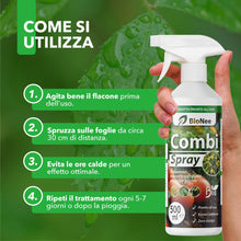 Carica l'immagine nel visualizzatore di Gallery, Combi Spray 500 ml | Con Olio di Neem e Sapone Molle | Naturale e Pronto all’Uso | Anti-Afidi, Cocciniglie e Fumaggine |