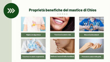 Carica l'immagine nel visualizzatore di Gallery, Chios Mastiha, Gomitas de lentisco griego 100% naturales, producidas por agricultores de lentisco (20 g, gomitas mediana