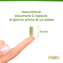 Carica l'immagine nel visualizzatore di Gallery, Prosta Pro High Dose. Complesso di capsule per la prostata con 600 mg di estratto di zucca, vitamina B6, zinco e selenio