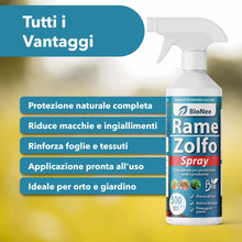 Carica l'immagine nel visualizzatore di Gallery, Rame Zolfo Spray 500 ml – Trattamento naturale pronto all’uso per piante ornamentali, da frutto, orto e giardino – Con r