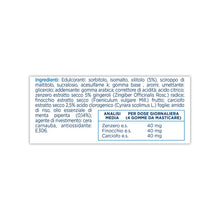 Carica l'immagine nel visualizzatore di Gallery, P6 Nausea Control, Gomme da Masticare Azione Anti-Nausea, Senza Zucchero, a base di Zenzero, Finocchio e Carciofo, Solli
