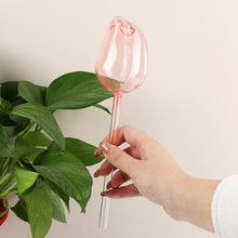 Carica l'immagine nel visualizzatore di Gallery, Palline per irrigazione, 4 pezzi, per piante in vaso, auto-irrigazione, PVC, erogatore di acqua, 24 x 6,5 cm
