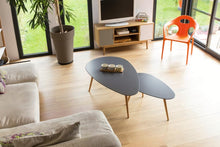 Carica l'immagine nel visualizzatore di Gallery, STANHOME - Parquet Cleaner Pulitore Esperto Parquet, 1000 ml