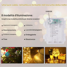 Carica l'immagine nel visualizzatore di Gallery, HOTUT Stringa Luci LED, 2*10M 100 LED Luci LED a Batteria, Luci Stringa Decorative Impermeabili, LED Luci Natale Interno