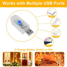 Carica l'immagine nel visualizzatore di Gallery, Vicloon Luci a Stringa USB, 2x10M 100 LED ,Telecomando Timer,Bianco Caldo