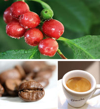 Carica l'immagine nel visualizzatore di Gallery, Gimoka - 64 Capsule Compatibili con Macchinetta Caffè Nescafé®* Dolce Gusto®* - Gusto Cremoso – Intensità 10 - 4 Confezi