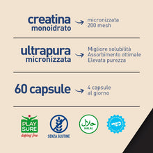 Carica l'immagine nel visualizzatore di Gallery, LongLife® Creatina 750 | Creatina monoidrato micronizzata ultrapura | Energia e forza muscolare | Performance fisica e s