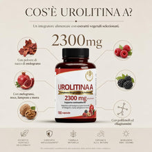 Carica l'immagine nel visualizzatore di Gallery, Urolitina A Integratore 2300mg 180 Capsule Vegetali