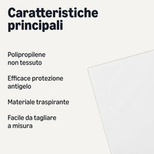 Carica l'immagine nel visualizzatore di Gallery, Amazon Basics, Telo protettivo per piante, 3 x 9,1 m, bianco, confezione da 1