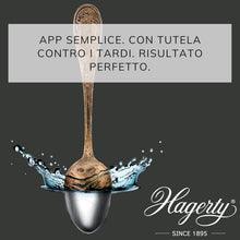 Carica l'immagine nel visualizzatore di Gallery, Hagerty Silver Bath Personal Use, bagno detergente argento 580ml