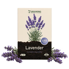 Carica l'immagine nel visualizzatore di Gallery, Grounding – Semi Lavanda Lavandula angustifolia, 3000+ Semi