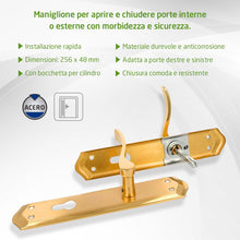 Carica l'immagine nel visualizzatore di Gallery, Amig - Set di Maniglie con Placca per Porta - Bocchetta Profilo Europeo a 85 mm - Quadro da 8 mm - Placca 256 x 48 mm - 