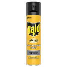 Carica l'immagine nel visualizzatore di Gallery, Raid Insetticida Spray, Vespe e Calabroni, Azione Rapida, 1 Pezzo da 400ml