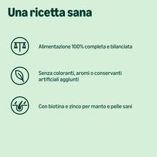 Carica l'immagine nel visualizzatore di Gallery, by Amazon Complete Dry Dog Food with Salmon And Rice for Medium And Large Breeds 5kg (Precedentemente Un Marchio Lifelon