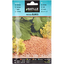 Carica l'immagine nel visualizzatore di Gallery, Battle - Semi Aromatici Senape Bianca (Semi - 40-55Cm)