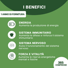 Carica l'immagine nel visualizzatore di Gallery, HerbAmour Vitamina B Complex 365 Compresse 12 Mesi con Biotina